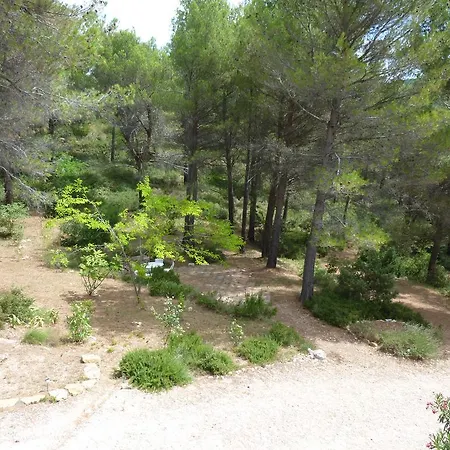 La Pinede Du Barroux 公寓 *